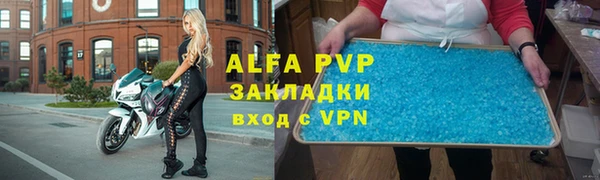 гашик Дмитров