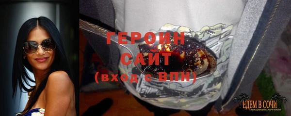 гашик Дмитров