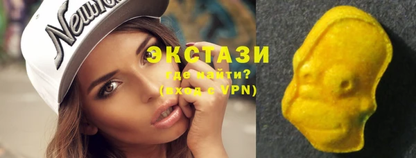 гашик Дмитров