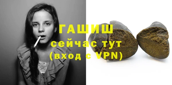 гашик Дмитров