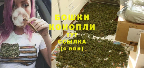 Альфа ПВП Дмитровск