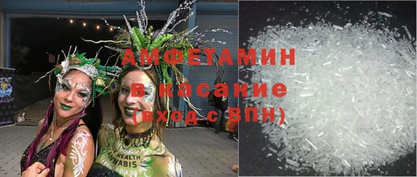 гашик Дмитров