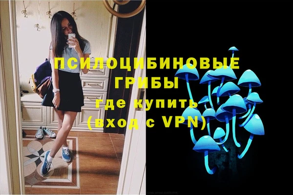 Альфа ПВП Дмитровск