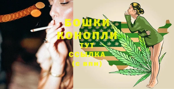 гашик Дмитров