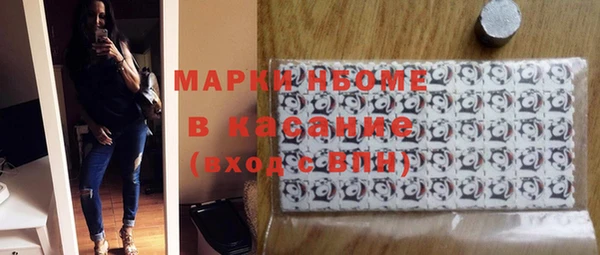 гашик Дмитров